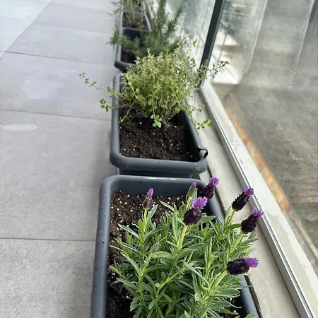 Appartement Lux Hub Spot-νear European Uni Engomi