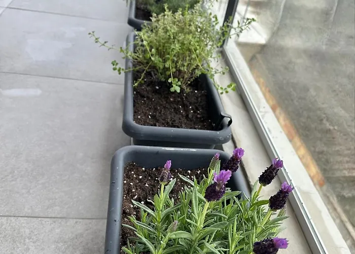 Lägenhet Lux Hub Spot-νear European Uni Engomi